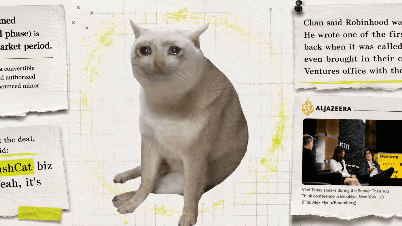 Crying Cash Cat centered in a Robinhood history paper collage